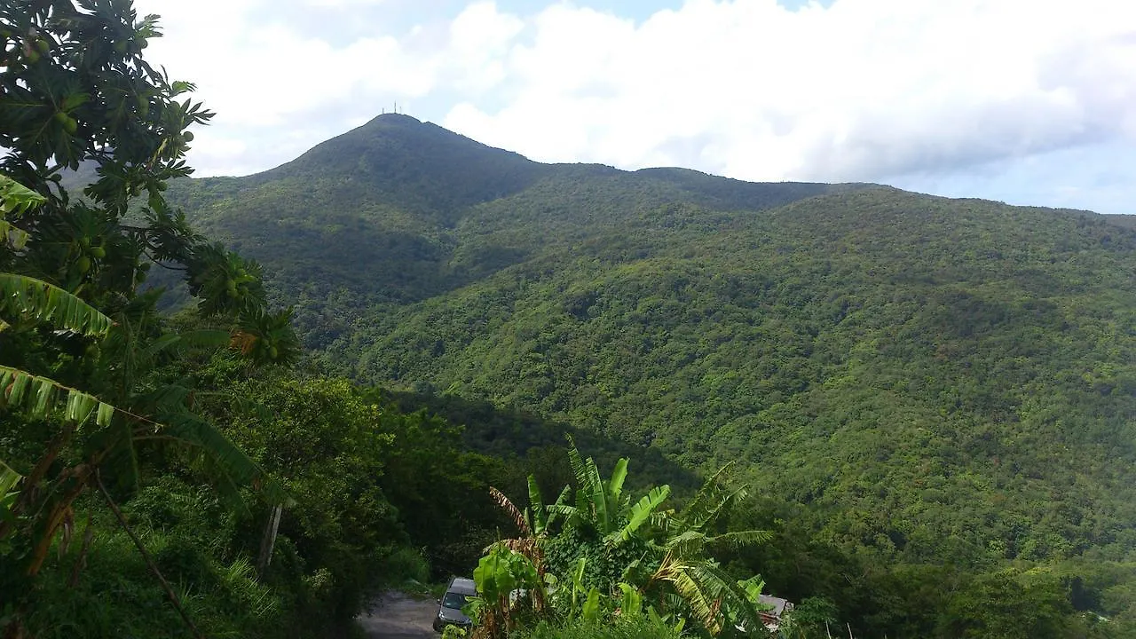 Insolite Ara Wakan / Ma cabane Pointe-Noire