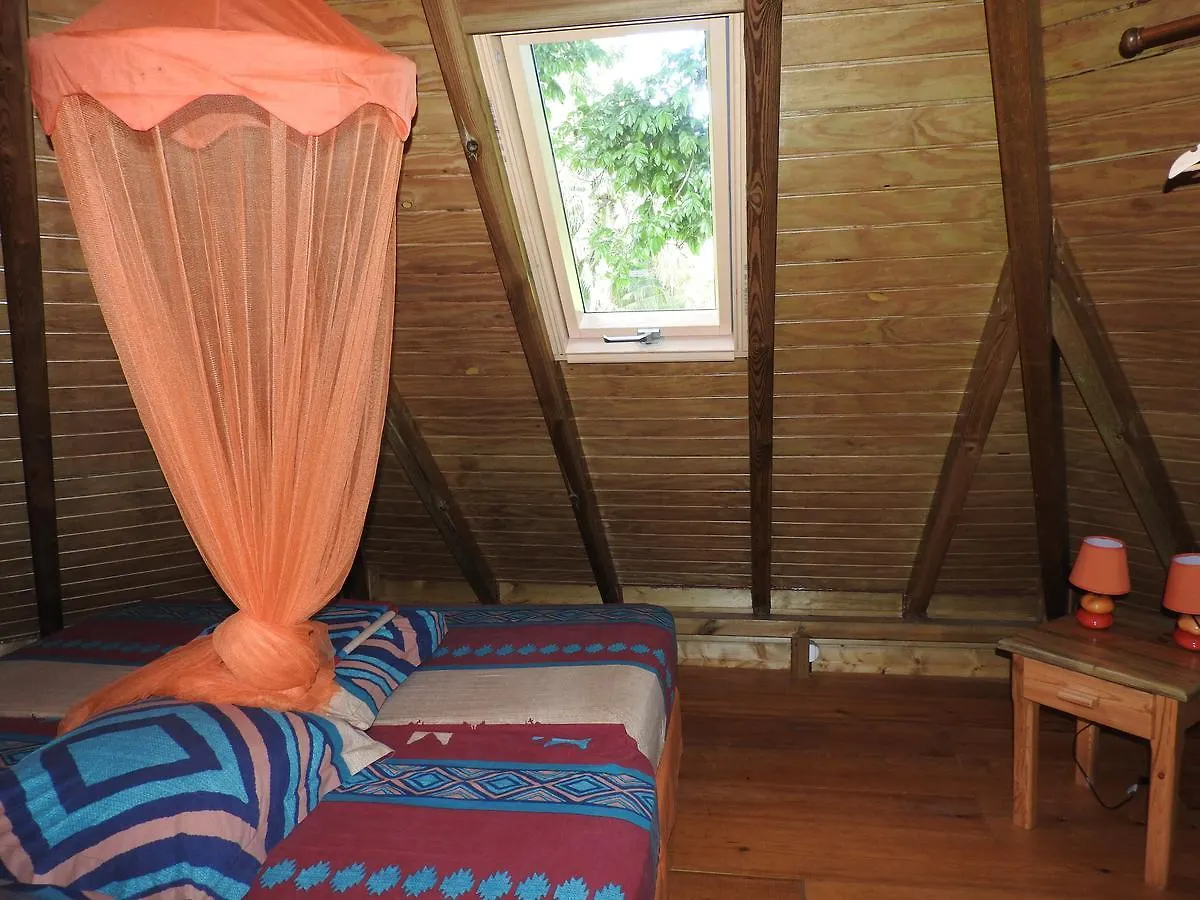 Insolite Ara Wakan / Ma cabane Pointe-Noire