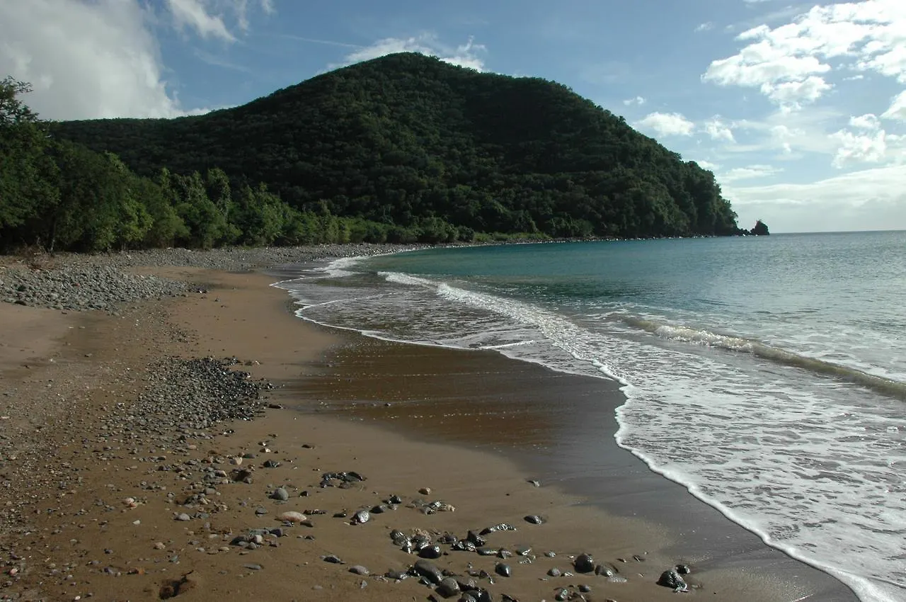 Insolite Ara Wakan / Ma cabane Pointe-Noire