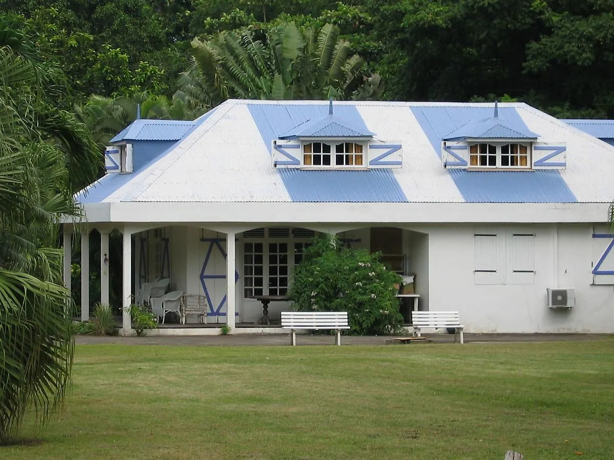 Insolite Ara Wakan / Ma cabane Pointe-Noire